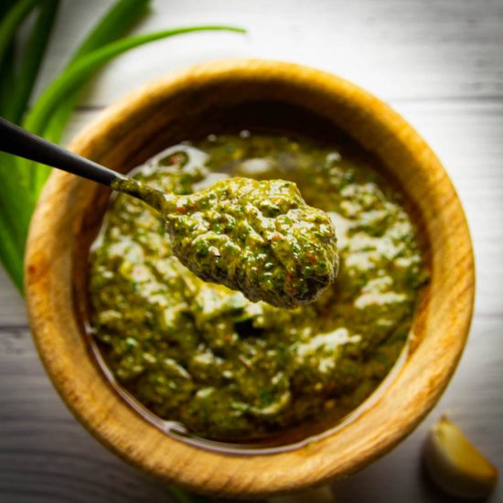 Charred Green Onion Chimichurri