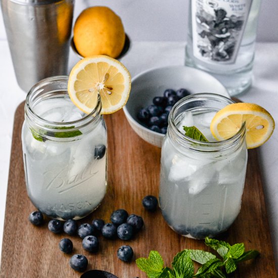 Fresh Blueberry Lemonade Mojito