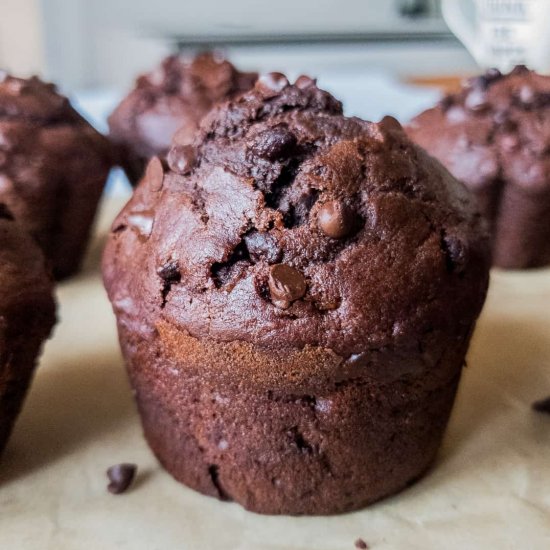 Vegan Chocolate Chip Muffins