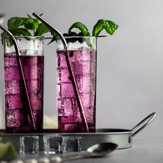 Blueberry Mojitos