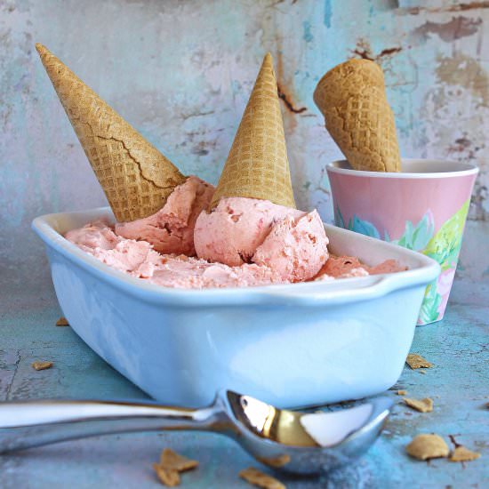 No Churn Rhubarb Ice Cream