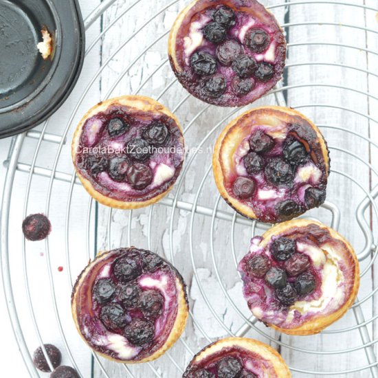 Small blueberry cheesecakes