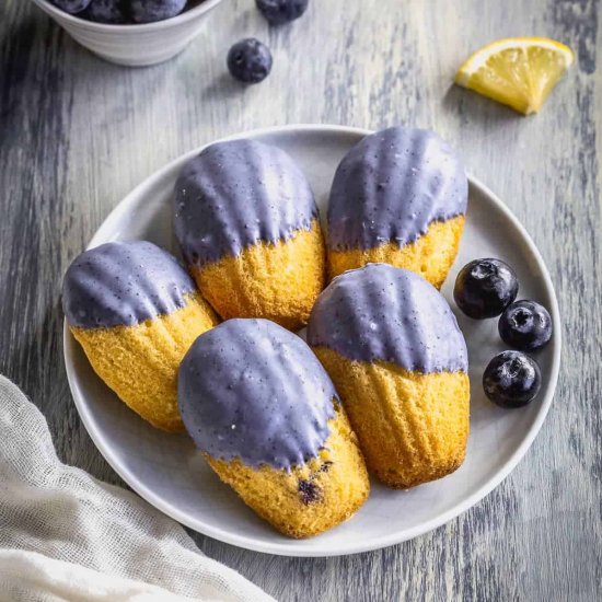 Blueberry Lemon Madeleines