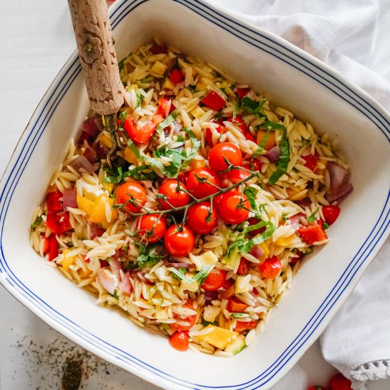 Grilled Veggie Orzo Pasta Salad