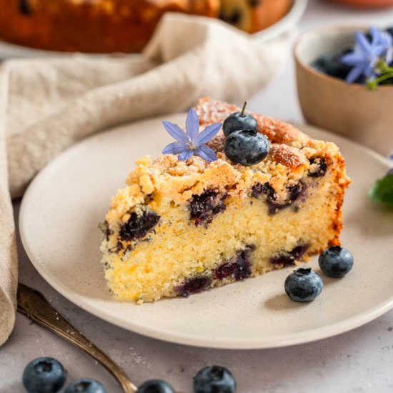 Blueberry Crumble Cake