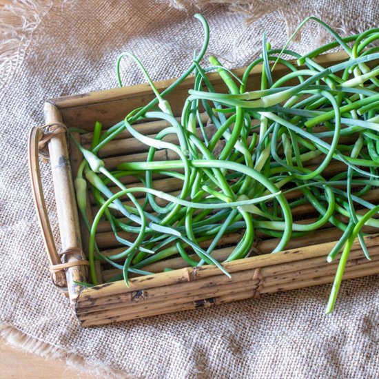 How to store garlic scapes