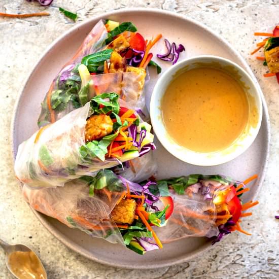 Vegan Spring Rolls with Tempeh