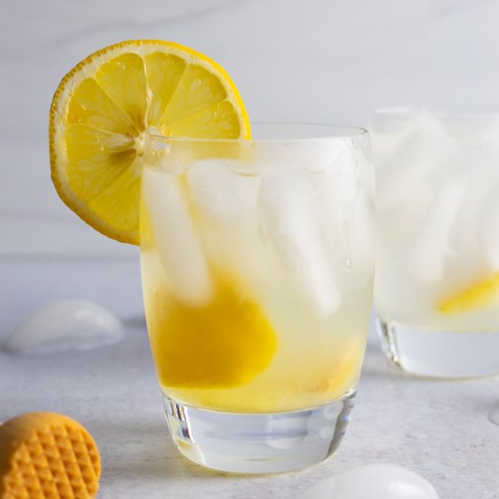 Simple Lemon Ginger Spritzer