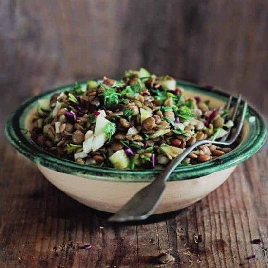 lentil salad