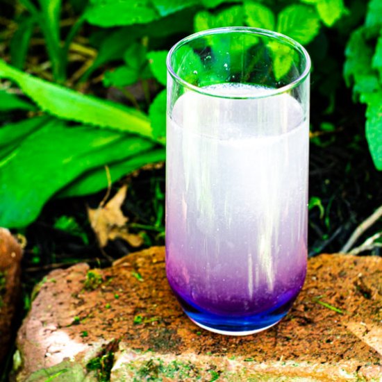 Butterfly Pea Flower Lemonade