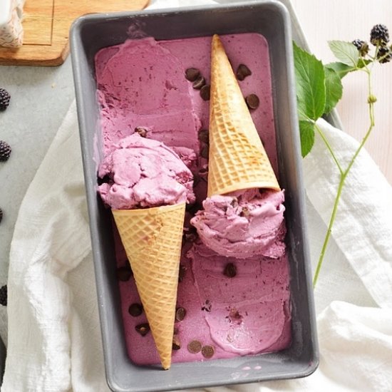 Raspberry Chocolate Chip Ice Cream