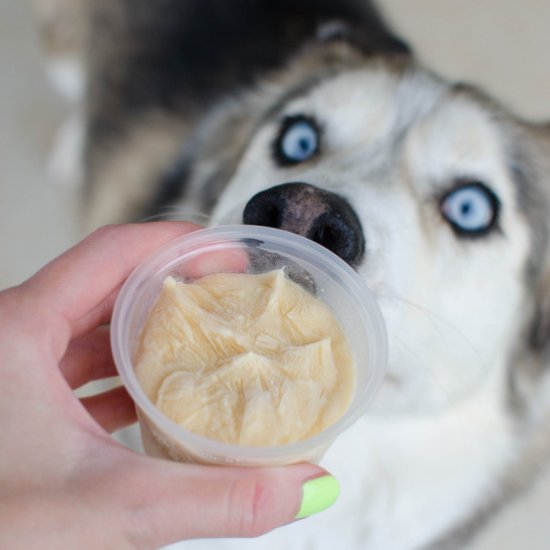 Pumpkin Peanut Butter Dog Ice Cream