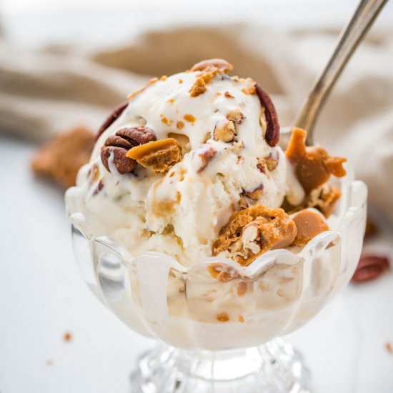 Bourbon Pralines and Cream Ice Crea