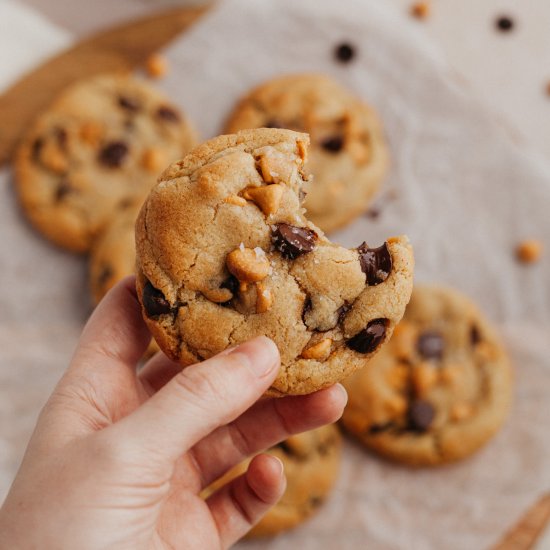 Chocolate Chip Butterscotch Cookies