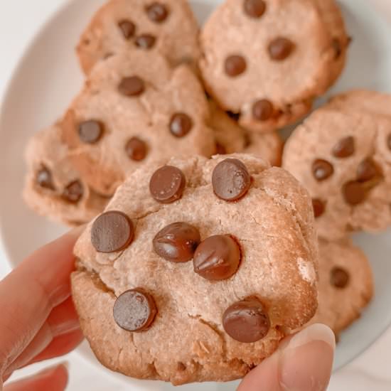 Peanut Butter Chocolate Chip Cookie