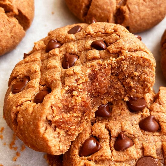 Chocolate Peanut Butter Cookies