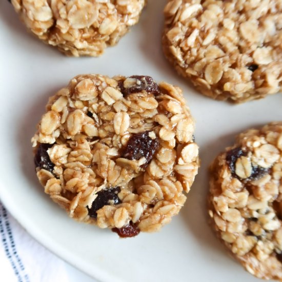 Vegan No-Bake Breakfast Cookies