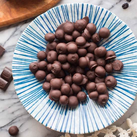 Chocolate Covered Blueberries