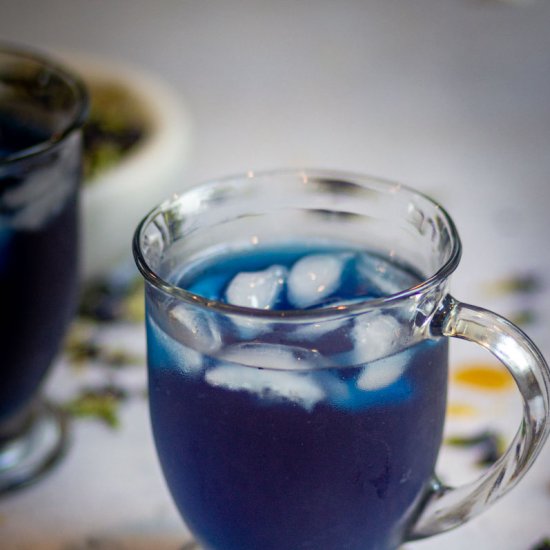 BUTTERFLY PEA FOWER ICED TEA