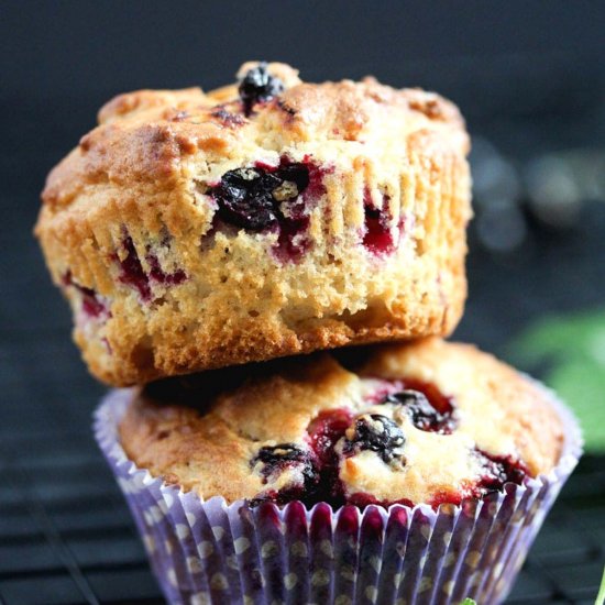 Black Currant Muffins