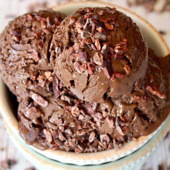 Chocolate Gelato with Cacao Nibs