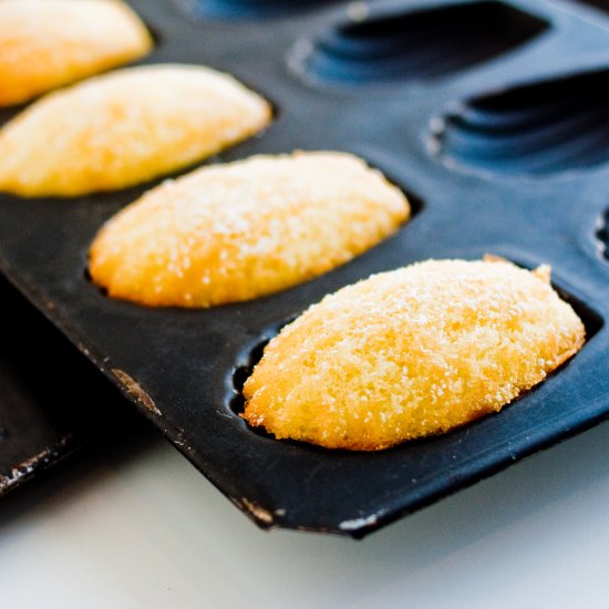 Classic Buttery Madeleines