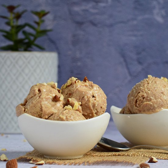 Vegan Almond Coconut Ice Cream