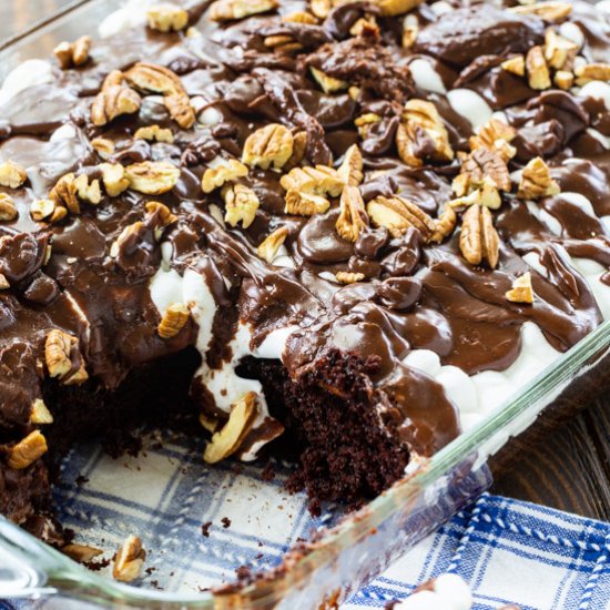 Mississippi Mud Cake