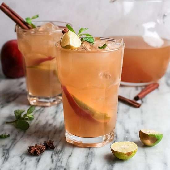 Tasty Apple Cider Mojito