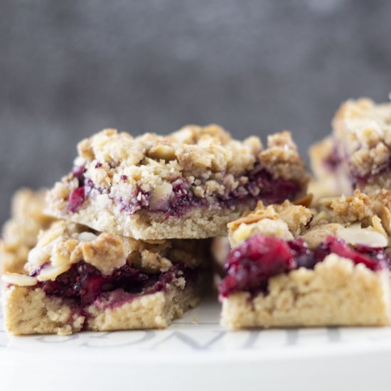 Vegan Apple and Blackberry Oat Bars