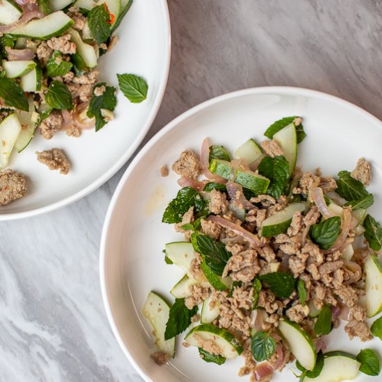 Spicy Chicken and Mint Salad