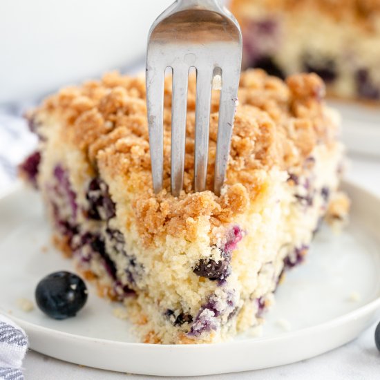 Blueberry Crumb Cake