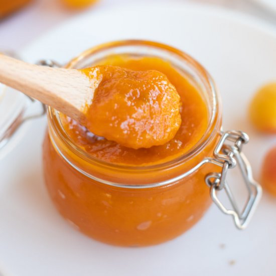 Instant Pot Apricot Jam