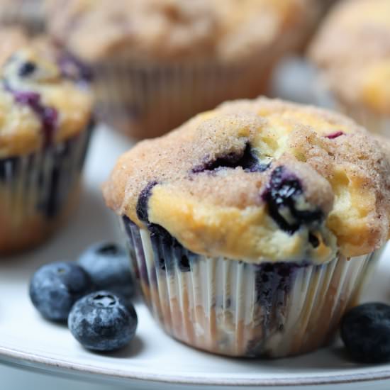 Blueberry Crumb Muffins