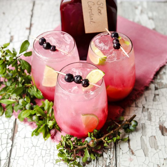 How tomake Sloe Cordial