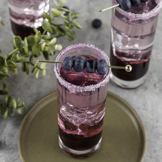 Blueberry Gin Cocktail