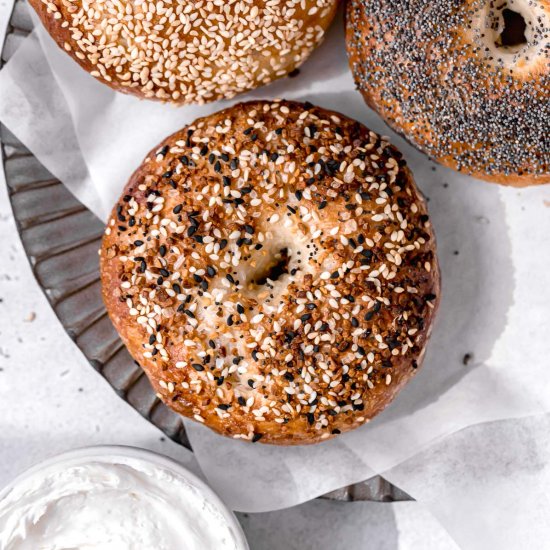 New York Style Bagels