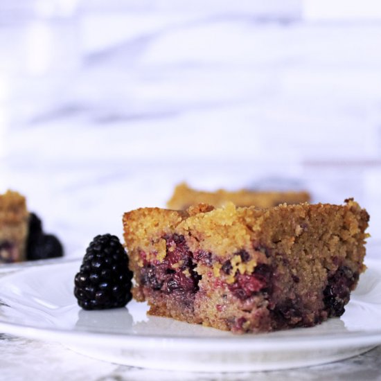 Blackberry Margarita Bars