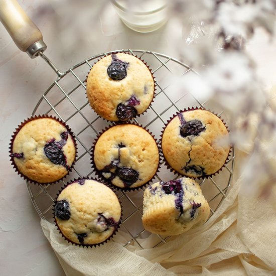 Blueberry Muffins