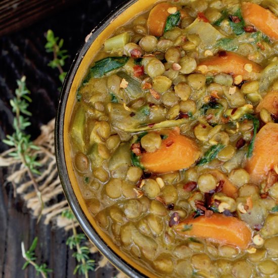 Vegan Lentil Stew