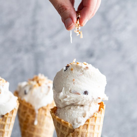 Dairy-Free Coconut Ice Cream