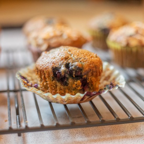 Zucchini Muffins