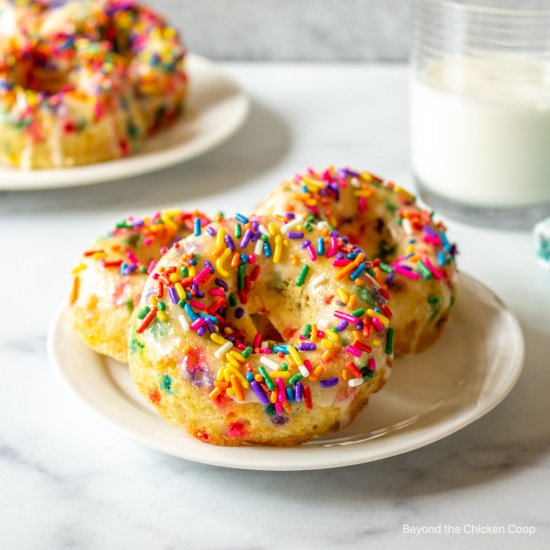 Sprinkle Donuts