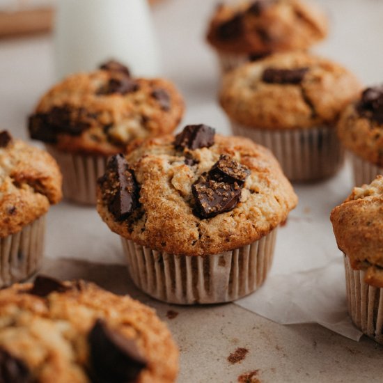 Peanut Butter Chocolate Chip Muffin