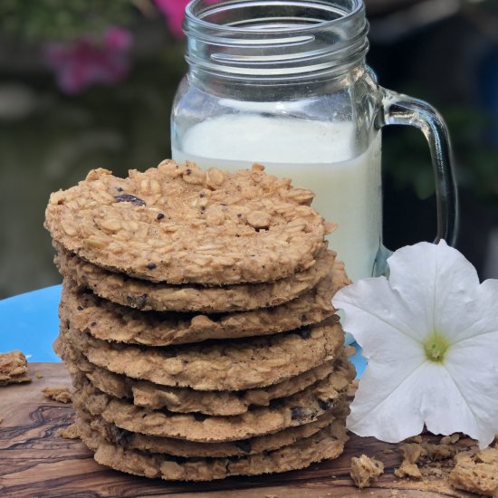 Easy Oatmeal Chocolate Chip Cookies