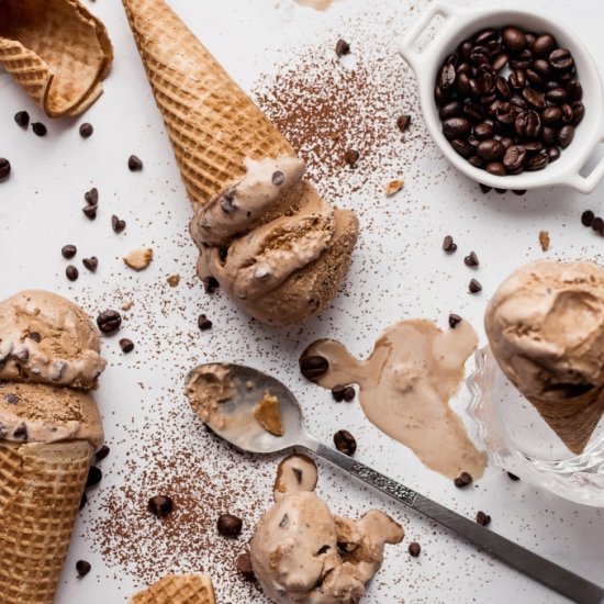 Mocha Chip Ice Cream