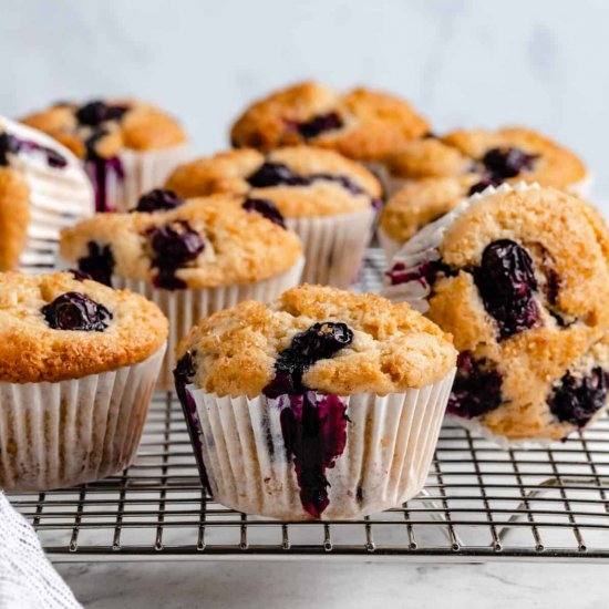 Vegan Blueberry Muffins