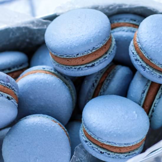 Almond Joy Macarons