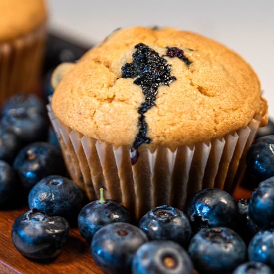 Vegan Blueberry Muffins