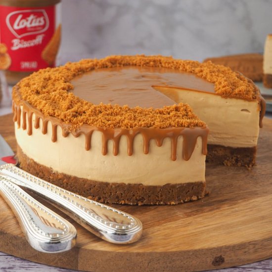 Biscoff Cheesecake